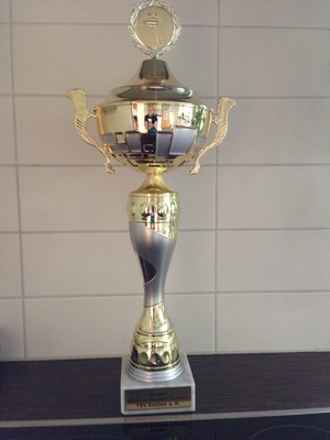 Pokal